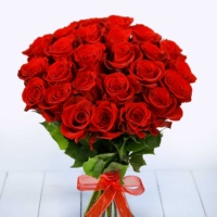 Fridom_1