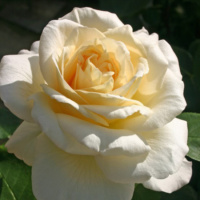 La-Perla