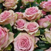 Retro_Love_2