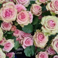 Retro_Love_3
