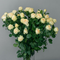 Sammer-Rouz_2