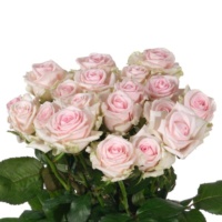 Sweet_Revival_1