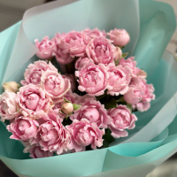 Candy-Flow-5