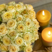 Lovely_Yoyo- 7